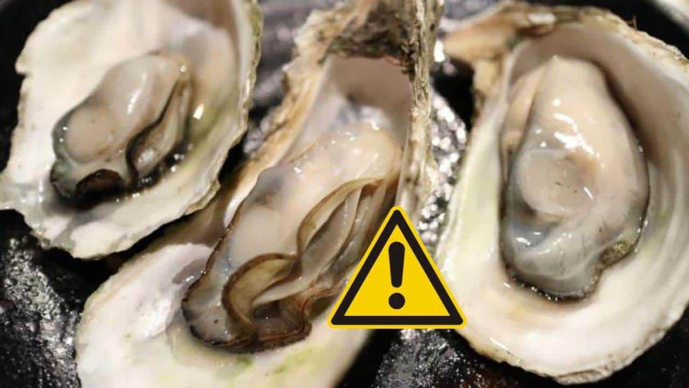 Prohiben venta de almejas y ostiones por toxina marina en costas de BCS