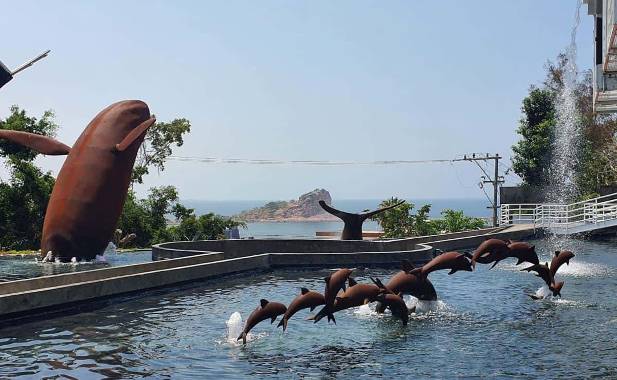 Así es el Museo de la Ballena en Mazatlán: ¿cuándo abrirá sus puertas?