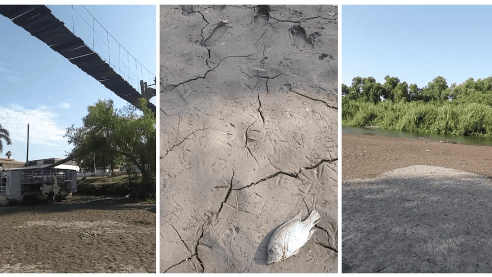 Se seca el río en Sinaloa de Leyva; la sequía azota fuerte a este municipio