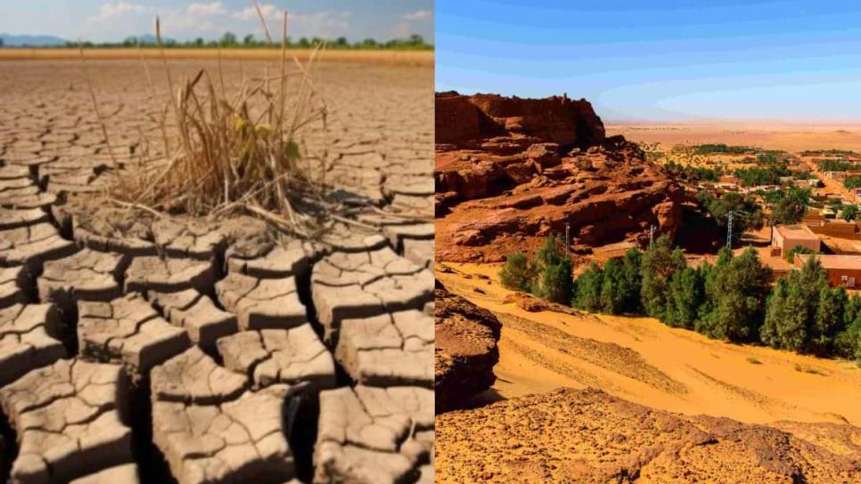 Calor de 50°C en Sinaloa y Sonora se compara con el Desierto de Argelia, según especialista