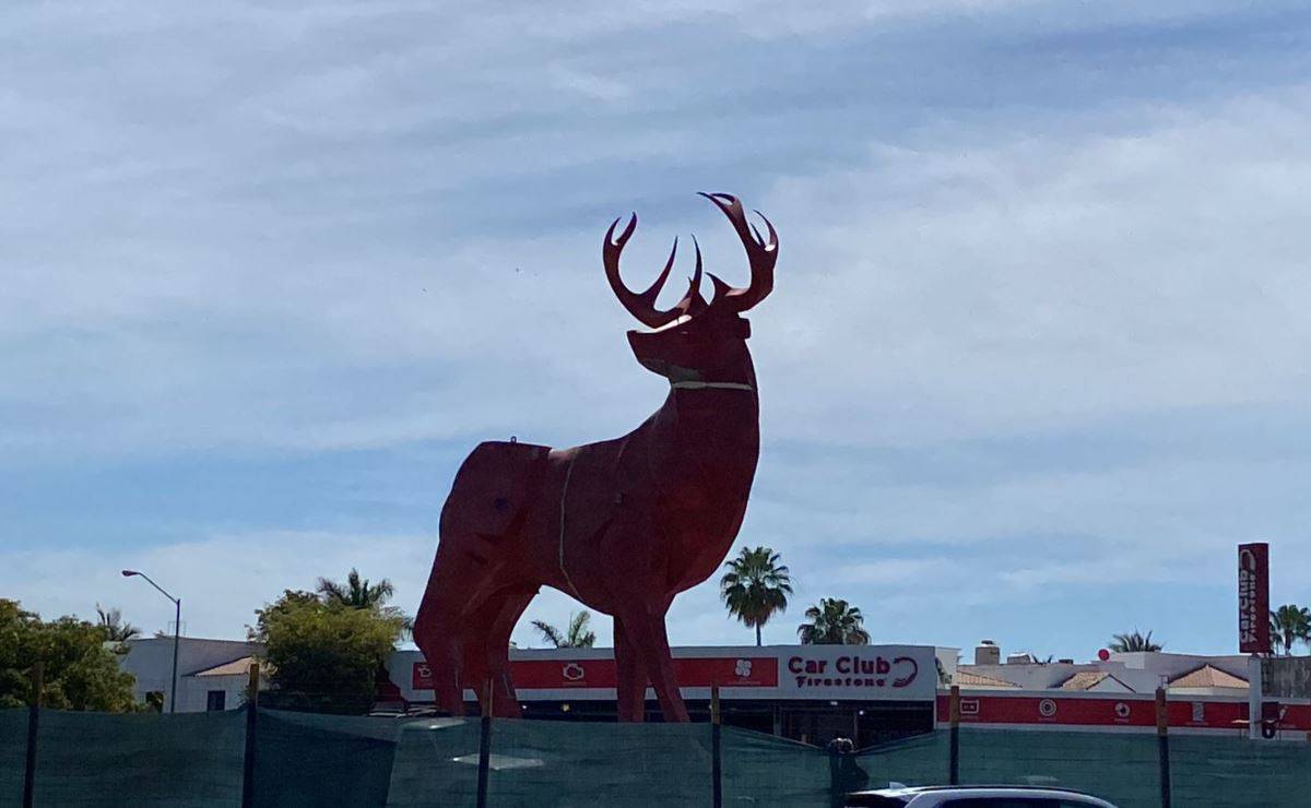 ¿Rocha Moya inaugurará el monumento del Venado rojo en Mazatlán?