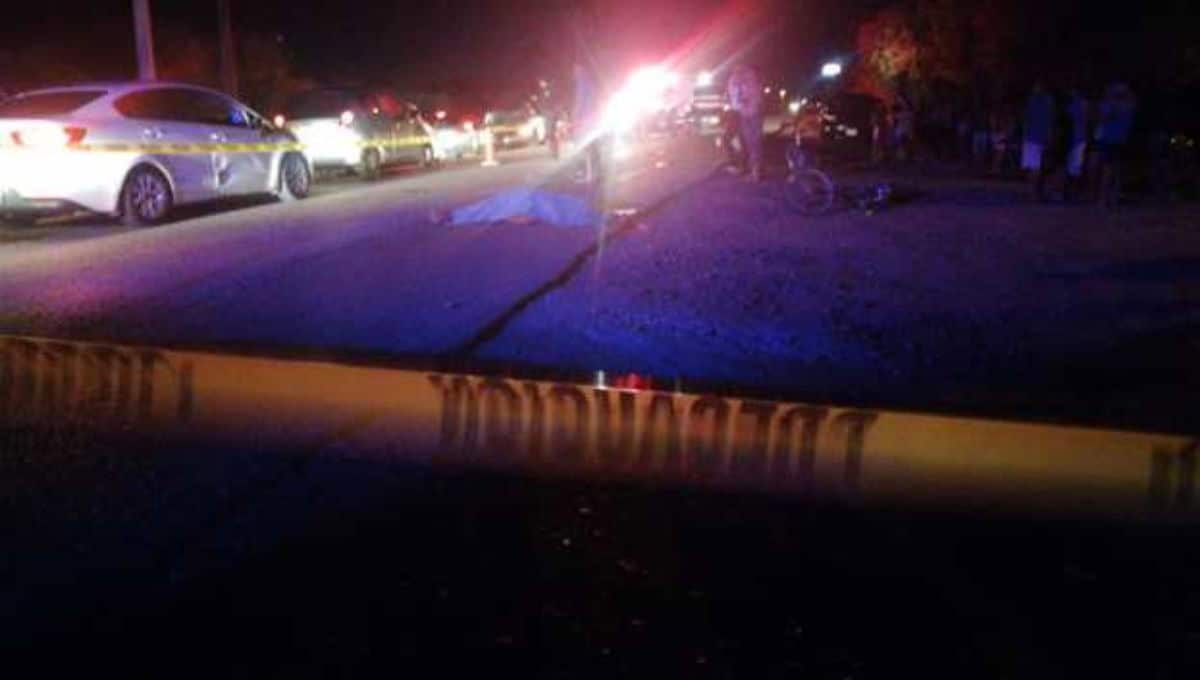 En un principio se creía que este había sido atropellado. FOTO: Temática