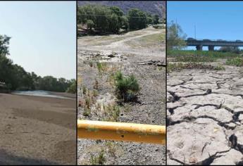 Ríos de Sinaloa lucen secos y sin vida; los consume la sequía | FOTOS