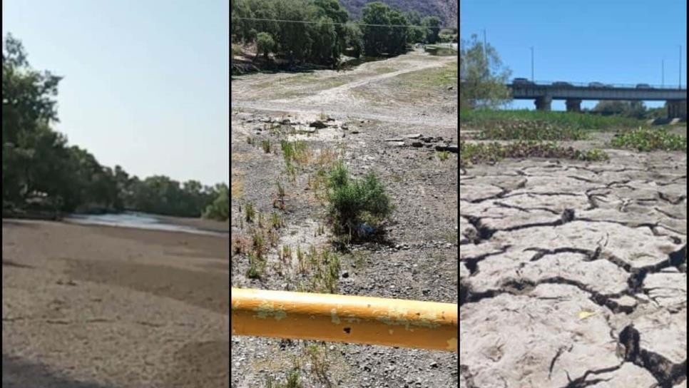 Ríos de Sinaloa lucen secos y sin vida; los consume la sequía | FOTOS