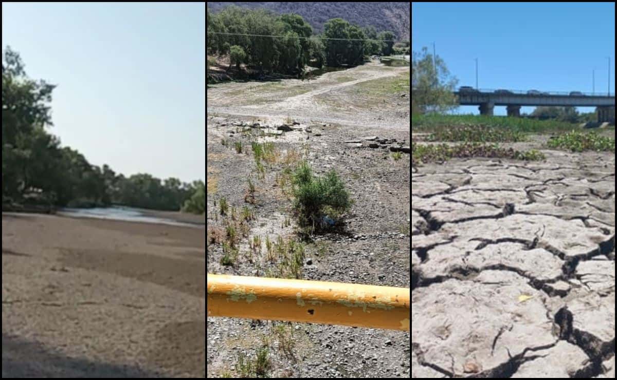 Ríos de Sinaloa lucen secos y sin vida; los consume la sequía | FOTOS