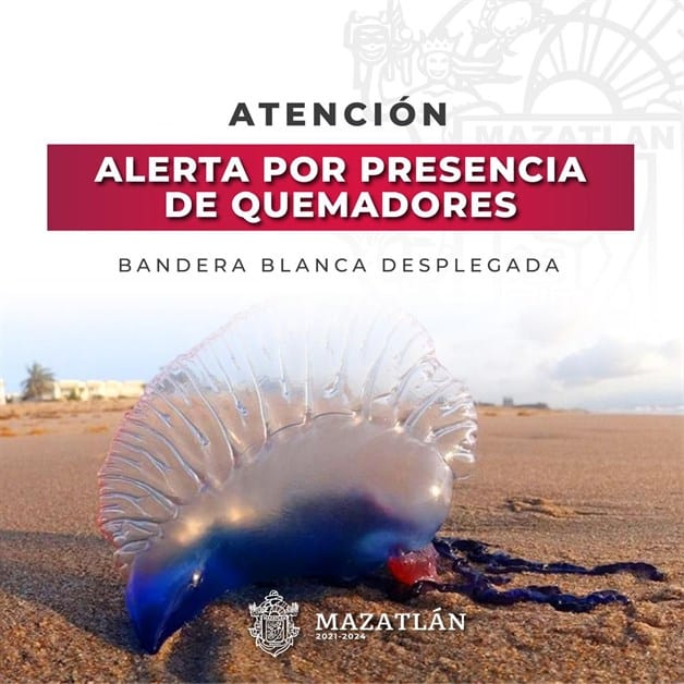 Imagen Placeholder Imagen Placeholder