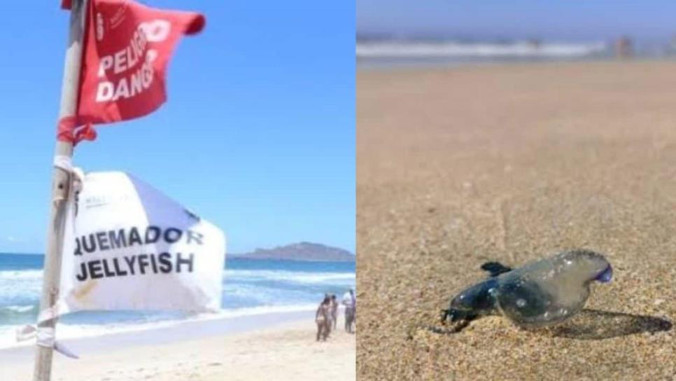 ¡Alerta por quemadores en Mazatlán! Conoce cómo actuar ante estas quemaduras