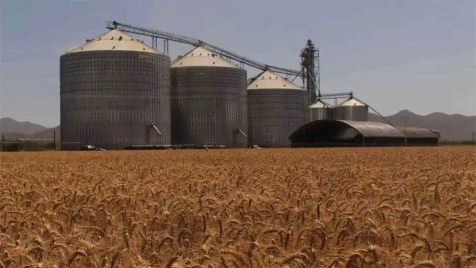 Los productores exigen un trato justo. FOTO: Luz Noticias