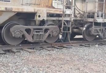 Tren atropella y mata a hombre en Lomas del Zorrillo, en El Rosario
