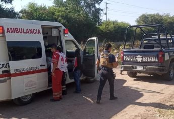 Policías de Guasave rescatan a mujer atacada por enjambre de abejas