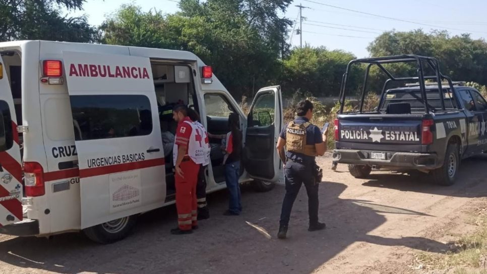 Policías de Guasave rescatan a mujer atacada por enjambre de abejas