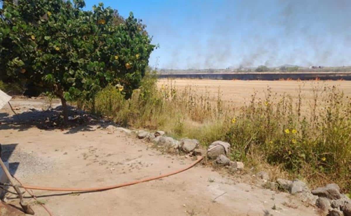 Quema de soca en Sinaloa afecta el clima e inhibe la lluvia, según especialistas