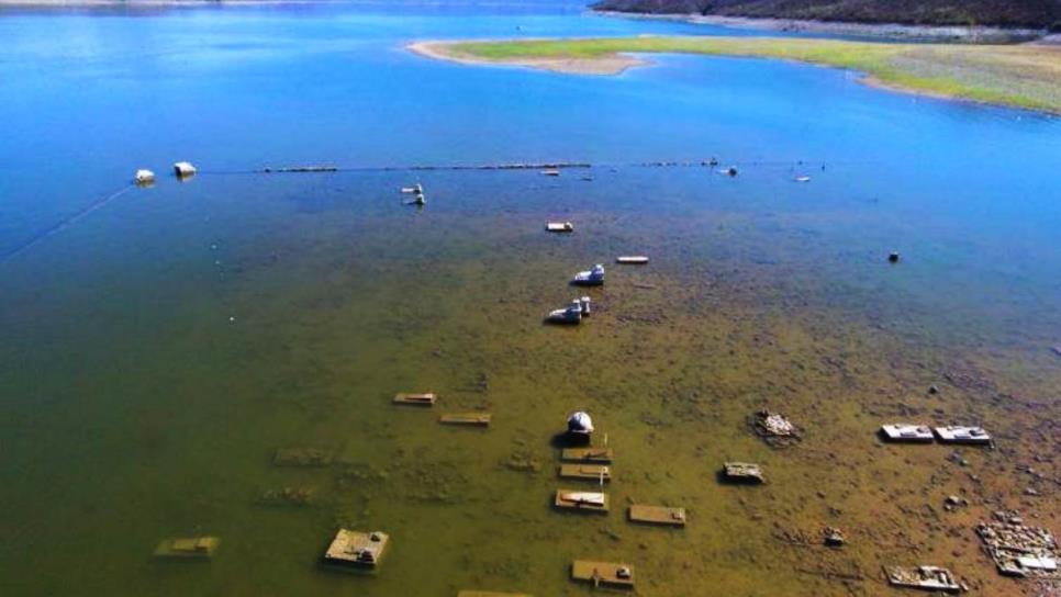 Emergen «panteones acuáticos» tras la intensa sequía en Sonora