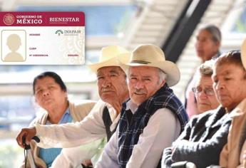 Inapam en Sinaloa 2024: Estas tiendas aplican descuentos si presentas la tarjeta