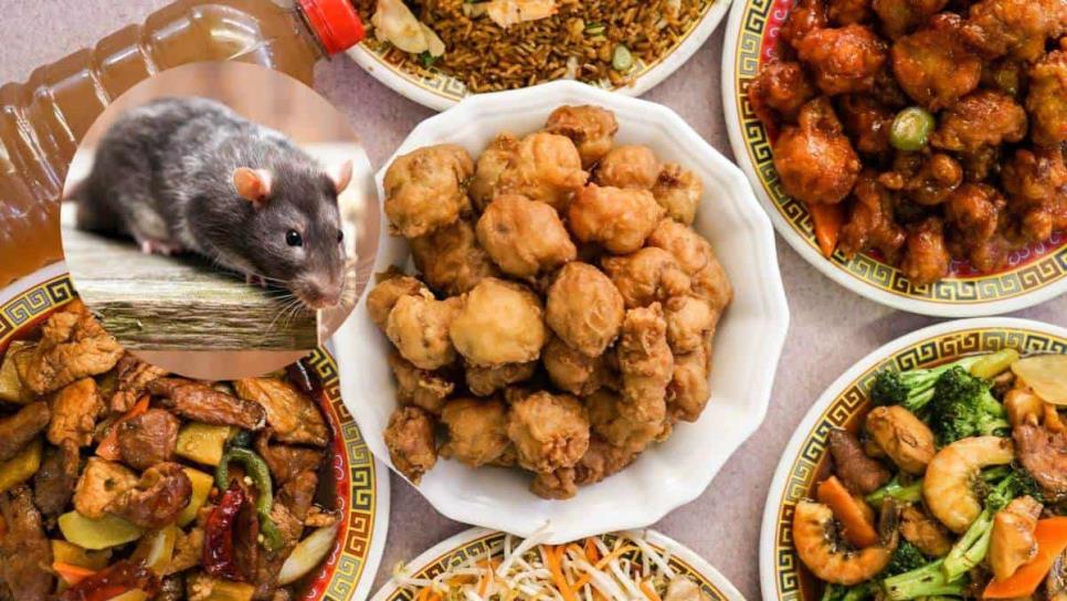 Joven compra comida china y encuentra una cola de rata; restaurante negó atender su reclamo 