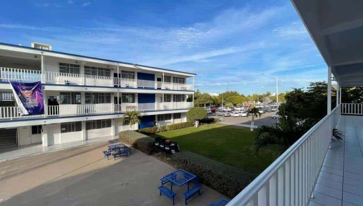 Las autoridades investigan cómo consiguieron la droga. FOTO: Luz Noticias