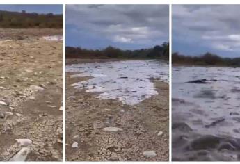 Renace el río Choix, así se vio la primera avenida tras las recientes lluvias en la sierra | VIDEO