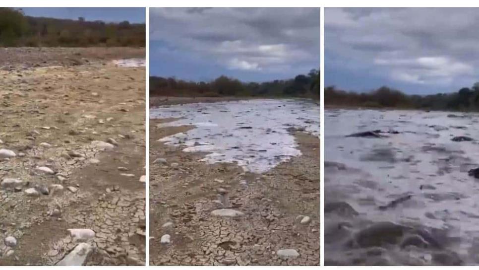 Renace el río Choix, así se vio la primera avenida tras las recientes lluvias en la sierra | VIDEO