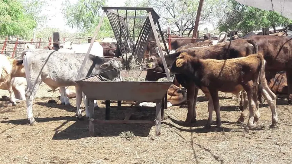 FOTO: Esthela García.