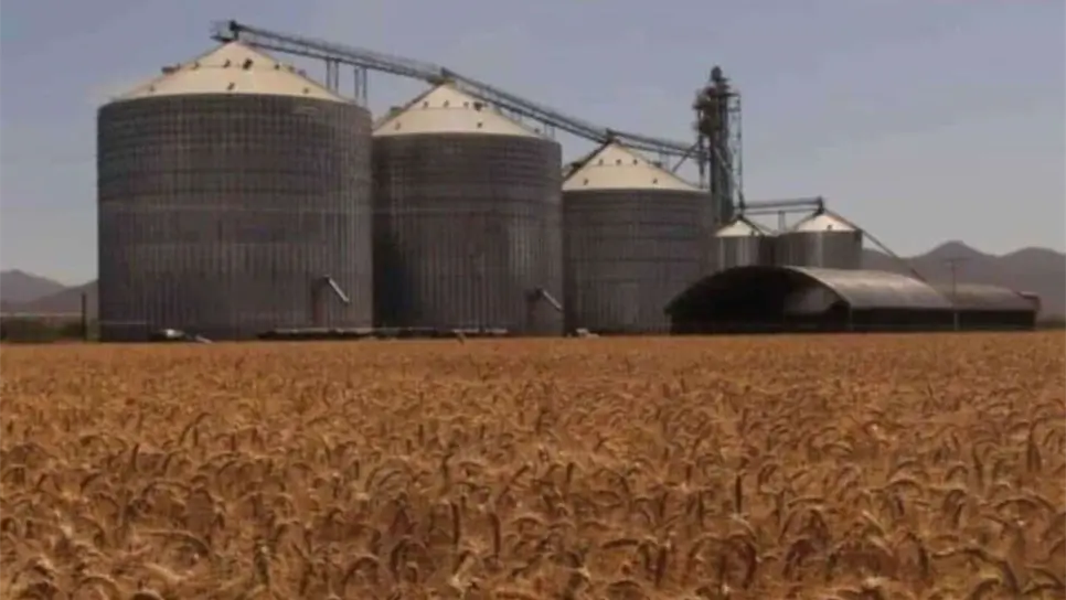 Bodegas de maíz. FOTO: Luz Noticias