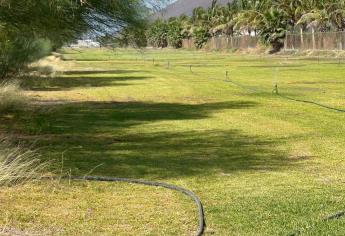 Roban agua de planta potabilizadora en Los Mochis; riegan predio con zacate comercial