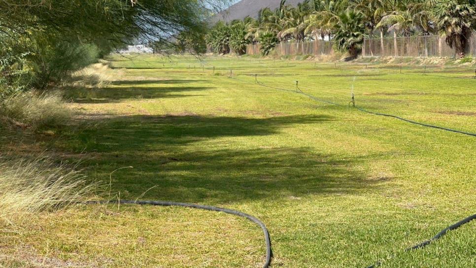 Roban agua de planta potabilizadora en Los Mochis; riegan predio con zacate comercial