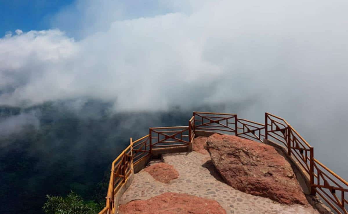 FOTO: Cortesía/GobiernodeSinaloa.