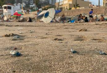 Repunta alta presencia de «quemadores» en playas de Mazatlán