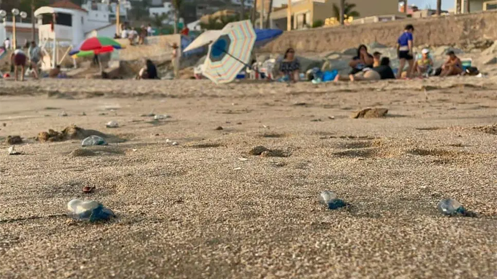 Repunta alta presencia de «quemadores» en playas de Mazatlán