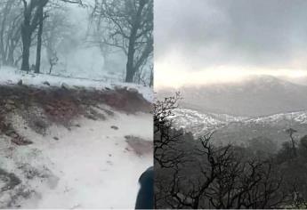 Este pueblo de Sonora se pintó de blanco tras granizada repentina: ¿cuál es y cómo llegar?