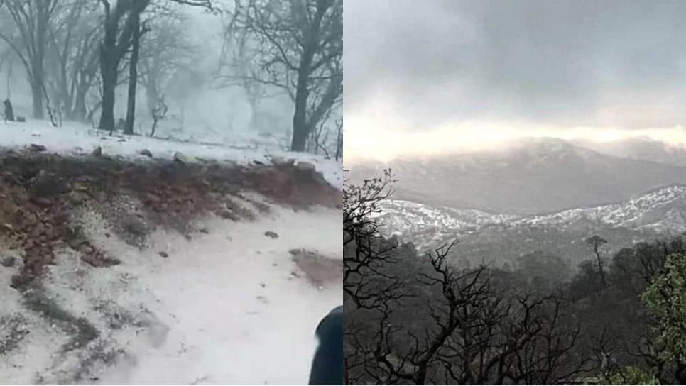 Este pueblo de Sonora se pintó de blanco tras granizada repentina: ¿cuál es y cómo llegar?