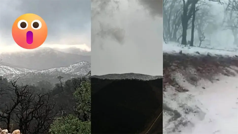 FOTO: Redes sociales.