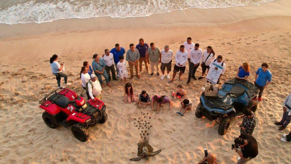 Ven a vivir una de las mejores experiencias de tu vida en Mazatlán liberando tortugas 