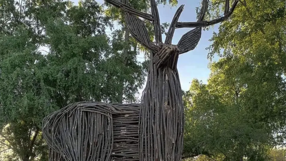 FOTO: Rita Sánchez.