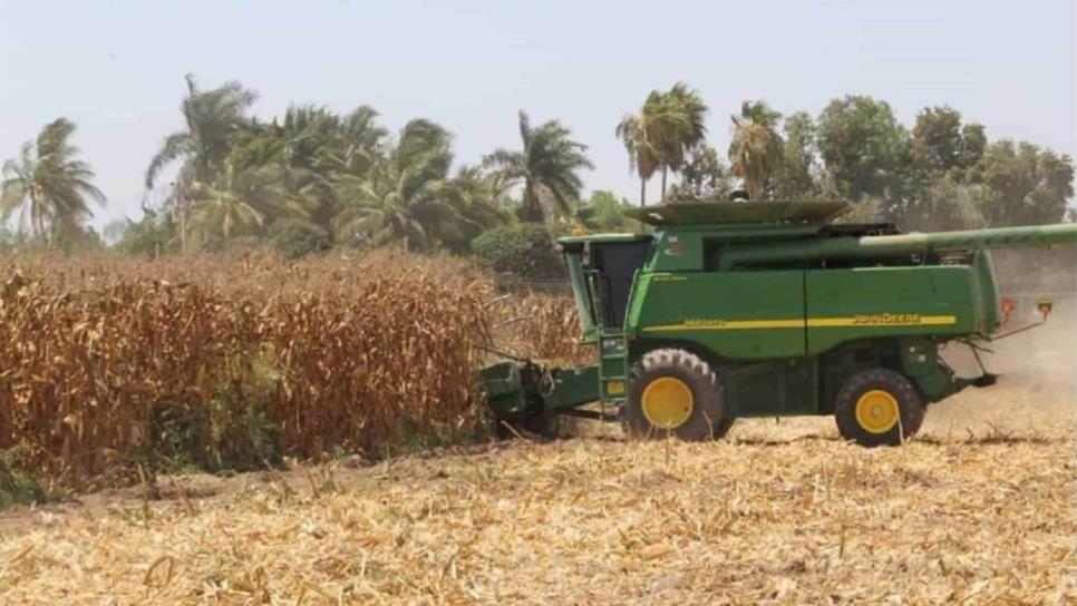 Productores de Sinaloa a favor de producir más e importar menos 