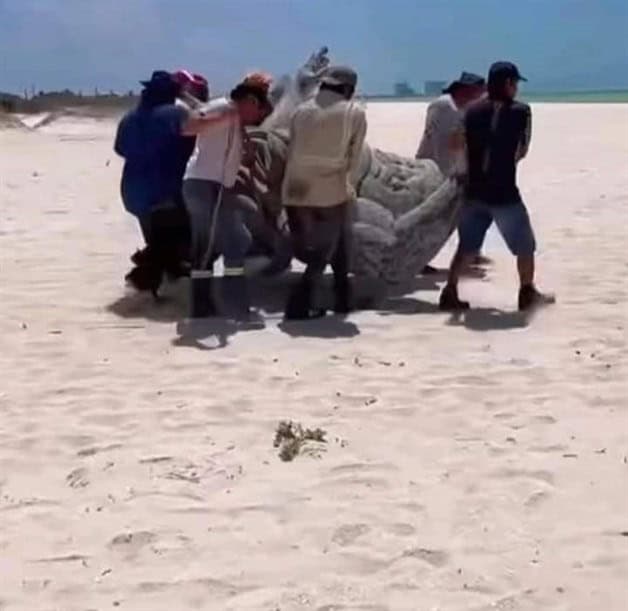 Imagen Placeholder Imagen Placeholder