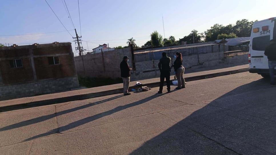 Indigente muere atropellado por un camión de jornaleros en Villa Juárez, Navolato