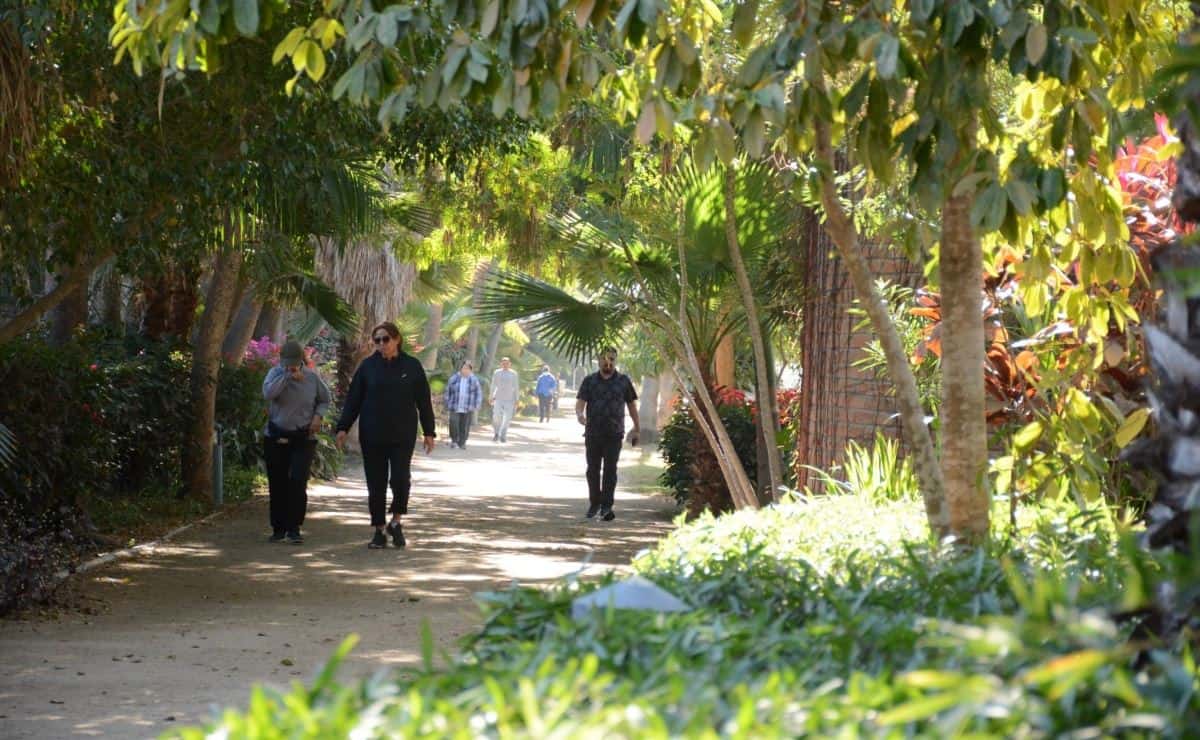 Parque Sinaloa y otros lugares seguros para hacer ejercicio en Los Mochis