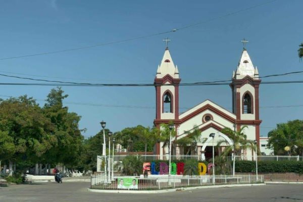 Este árbol en Eldorado es uno de los más viejos en todo Sinaloa