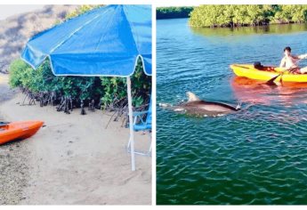 Playa Las Copas, paradisiaco destino frente a Topolobampo; ¿cómo llegar y qué hay que hacer?
