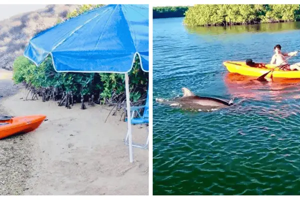 Playa Las Copas, paradisiaco destino frente a Topolobampo; ¿cómo llegar y qué hay que hacer?