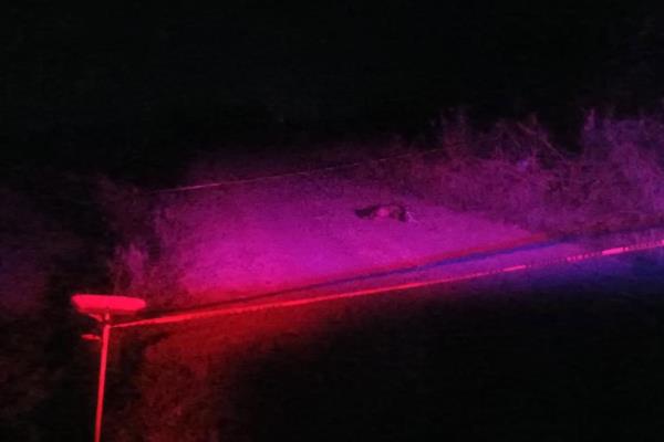 Joven asesinada sin identificar, podría ser del 2 de Abril, El Fuerte