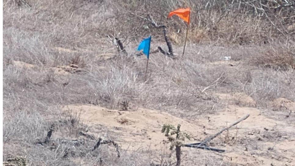 Localizan huesos humanos entre la arena de las playas de Navolato