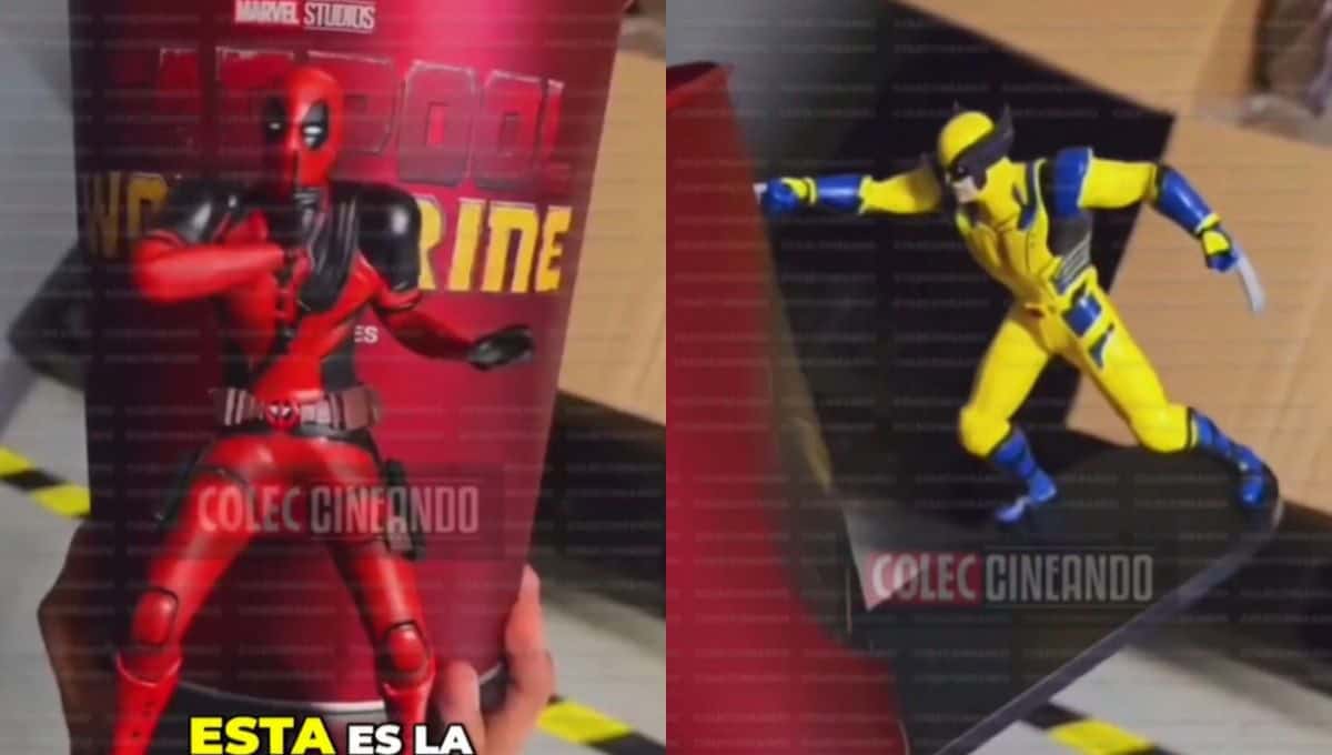 La palomera aún no está a la venta. FOTO: Coleccineando en TikTok