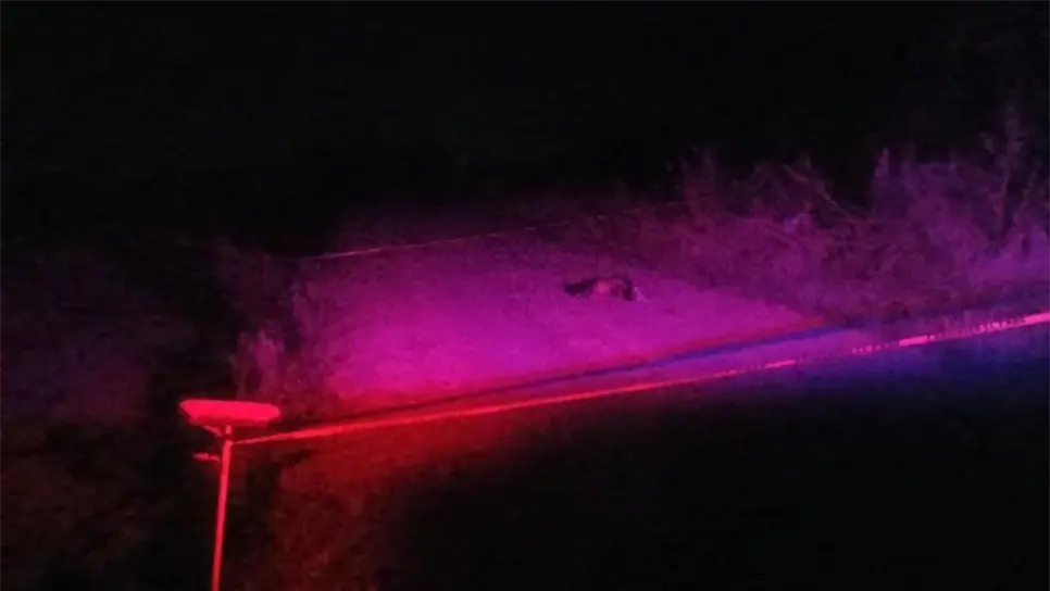 El hecho alertó a todo el municipio. FOTO: Cortesía