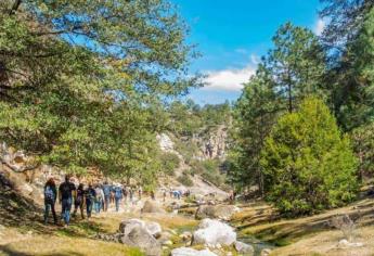 El Palmito pueblo en la sierra entre Sinaloa y Durango que tienes que visitar: ¿Cómo llegar?