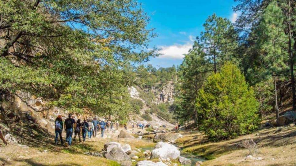 El Palmito pueblo en la sierra entre Sinaloa y Durango que tienes que visitar: ¿Cómo llegar?