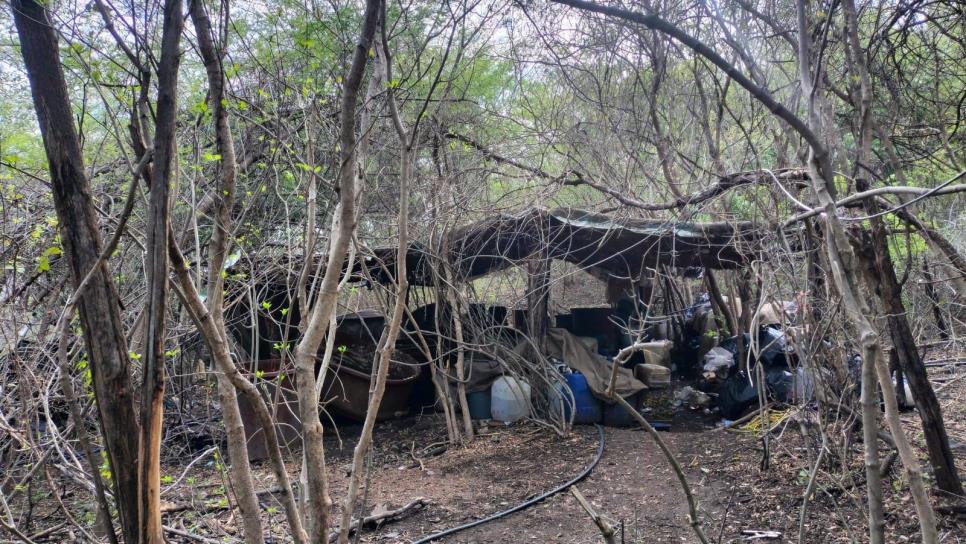 Militares aseguran narcolaboratorio con 500 litros de metanfetamina en Sanalona, Culiacán