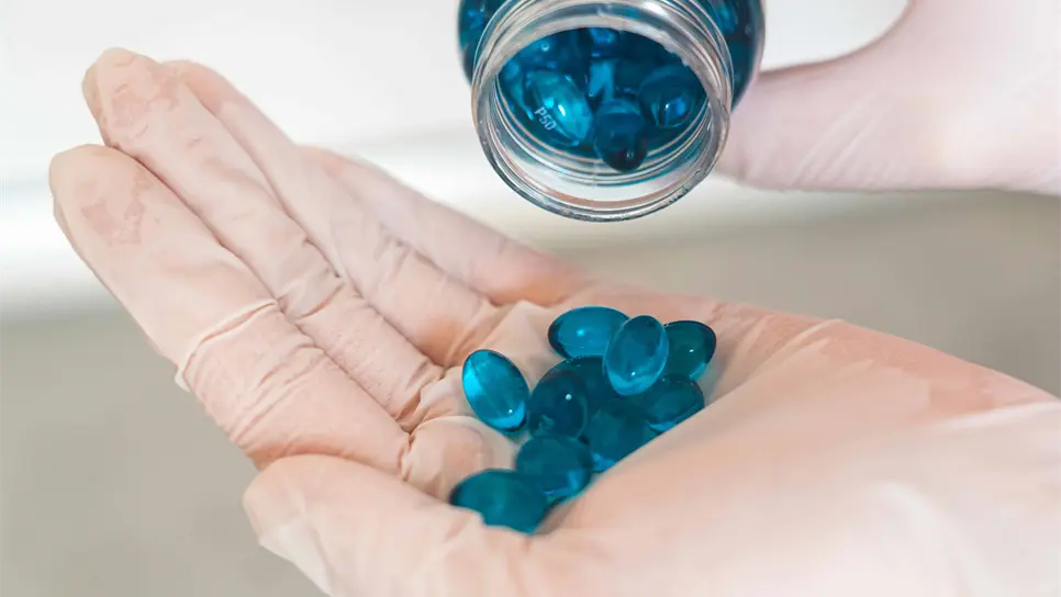 Foto: Castorly Stock.