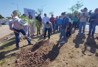 Ahome celebra el Día del Árbol con la plantación de 3 mil 500 ejemplares